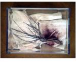 From the Lost and Found series and installation.