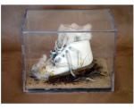 From the Lost and Found series and installation.