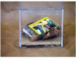 From the Lost and Found series and installation.
