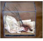 From the Lost and Found series and installation.