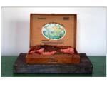 Plaster, mud-dyed muslin, amish tobacco, in box. 13.5 in. x 9.5 in. x 12 in. 1982.
