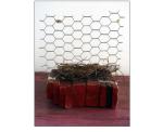 Wood, nest, glass, chicken wire. 9 in. x 10 in. x 10 in., 1994.