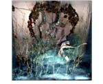 Costume, roses, gilded twigs, paint in box under plexiglass. 32 in. x 32 in. 1994
