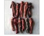 Plaster cast, mud dye. 60 in. x 60 in., 1985.