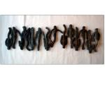Plaster cast, paint, bituminous coal. 12 in. x 48 in., 1985.